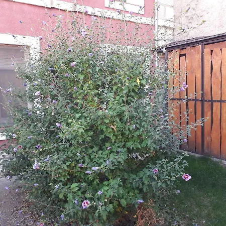 Kır Evi Casa El Secretario *